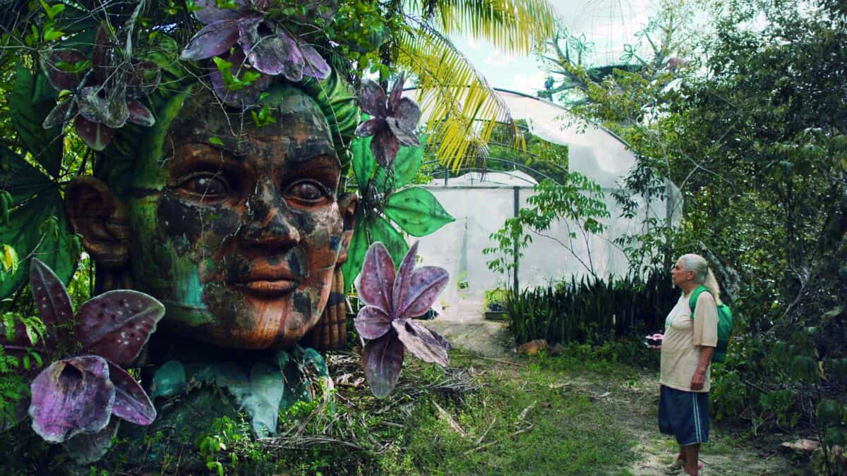 FOTOGRAMA EL SENDERO AZUL